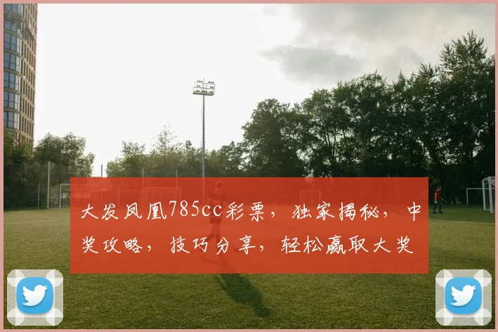 大发凤凰785cc彩票，独家揭秘，中奖攻略，技巧分享，轻松赢取大奖，不容错过