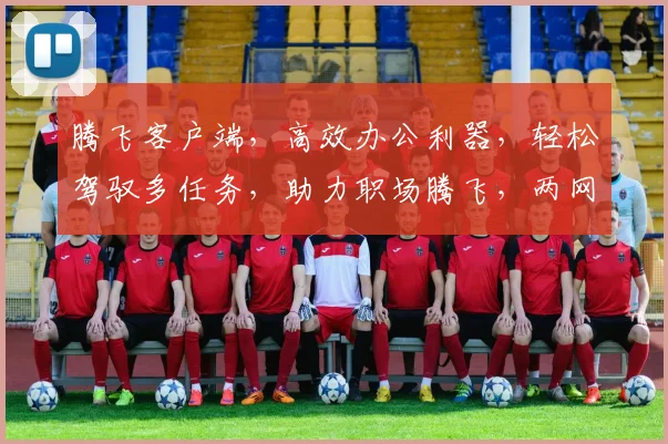 腾飞客户端，高效办公利器，轻松驾驭多任务，助力职场腾飞，两网通，一触即达