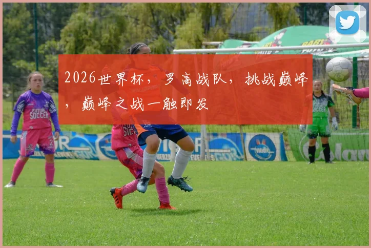 2026世界杯，罗高战队，挑战巅峰，巅峰之战一触即发