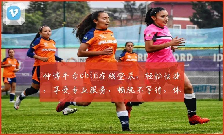 仲博平台cbin在线登录，轻松快捷，享受专业服务，畅玩不等待，体验极致游戏